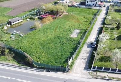 Teren agricol intravilan de 5174 mp, în Ilișești - 3