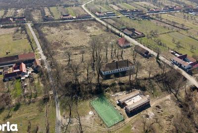 Casă cu 8 camere cu Teren 7235 Mp în Traian Vuia - 4