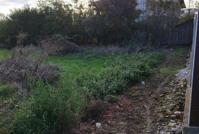 Teren agricol intravilan de 2000 mp, în Speriețeni - 3