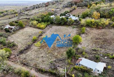 Teren intravilan NICULITEL, zona deosebita, 3044MP - 7