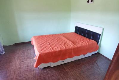 Casă cu 2 camere în Dumești - 5