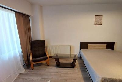 Garsonieră decomandată în Valea Ialomiței - 6
