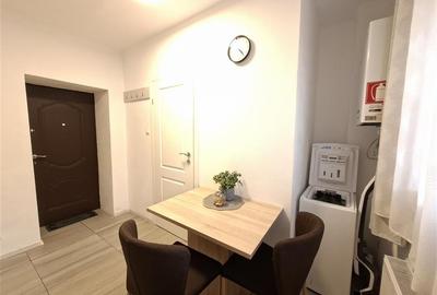 Duplex cu 1 camere cu Teren 154 Mp în Central - 10