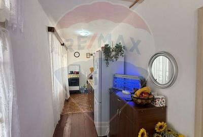 Casă cu 2 camere cu Teren 3669 Mp în Giurgița - 3