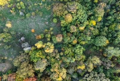 Teren de 1800 mp, în Văcăresti - 10