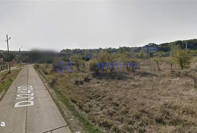 Spațiu comercial, în Sticlăria - 3