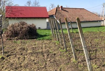 Teren de 3050 mp, în Belcești - 8