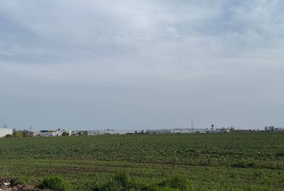 Teren Construcții intravilan de 3690 mp, în Berceni - 7