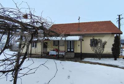 Casă cu 2 camere cu Teren 693 Mp în Jucu - 11
