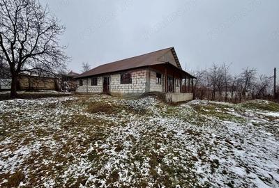 Casă cu Teren 1218 Mp în Vitănești - 1