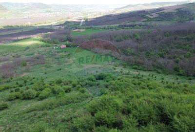 Domeniu - 66 Hectare - Teren deosebit Copsa Mica cu desch... - 27