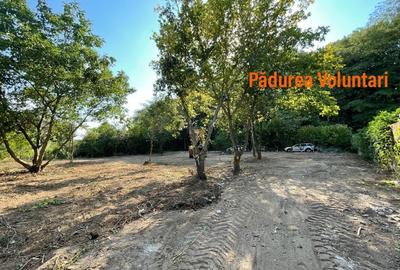 Vand teren la pădure,zona Matei Millo,Erou Mircea Marinescu,Voluntari - 2