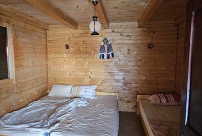 Casa de vacanta cu 6 camere + teren suprafata 7.384 mp, Bradet, Bihor - 16