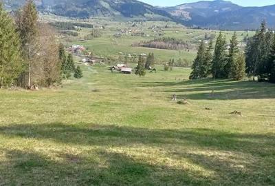 Teren de 28307 mp, în Coșna - 9