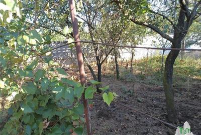 Teren intravilan cu deschidere mare, aflat in Petrachioaia IF, ideal pt. afaceri Teren intravilan cu deschidere mare, aflat in Petrachioaia IF, ideal pt. afaceri - 6