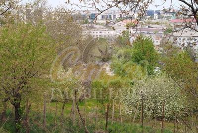 Teren Construcții intravilan de 2889 mp, în Aleea Tudor Neculai - 2