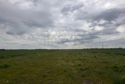 REL4001116 Teren de vanzare Popesti Leordeni - 2