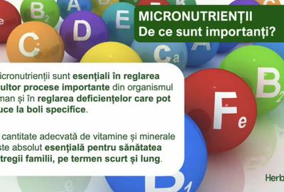 Garsoniera prima chirie - Park lake 4 min M dristor DB1337 - 13