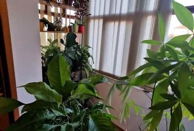 Apartament cu 3 camere semidecomandat în Dâmbovița - 8