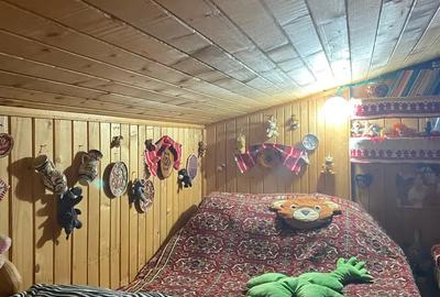 De vanzare casa de vacanta - 8