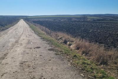 Spațiu comercial, în Pericei - 6