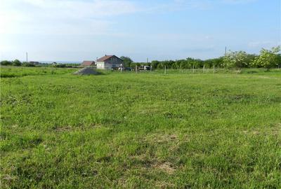 Teren de 2300 mp, în Central - 4