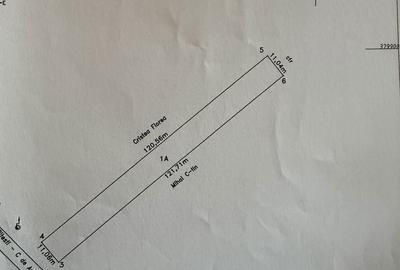 Spațiu comercial, în Bascov - 1