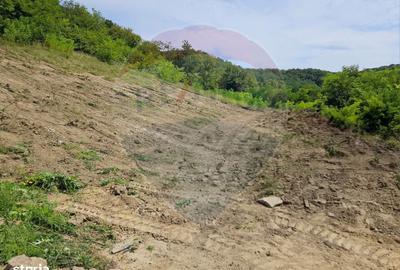 Spațiu comercial, în Central - 2