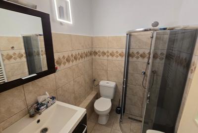 Apartament cu 2 camere, mobilat în Central - 11