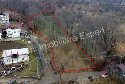 Teren de 2800 mp, în Arefu - 6
