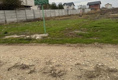 Teren de 450 mp, în Berceni - 9