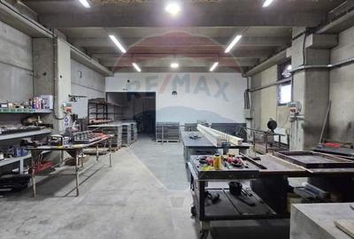 DE VANZARE Hala productie/depozitare - 19