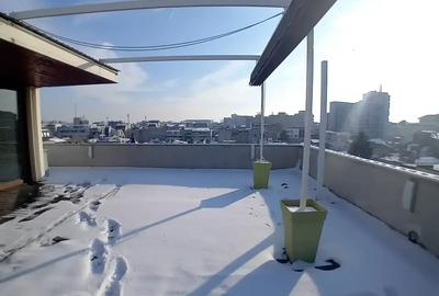 Penthouse cu 6 camere decomandat în Floreasca - 2