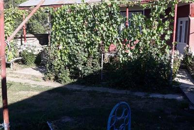 Casă în Central - 6