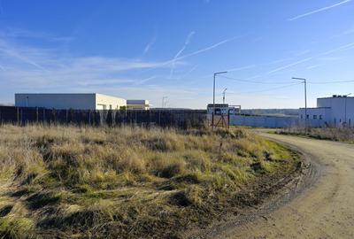 TEREN 762mp zona privata exclusivista Izvorani Delta Snagov la 100m lac - 11