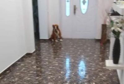 Casă cu 5 camere în Grivița - 4