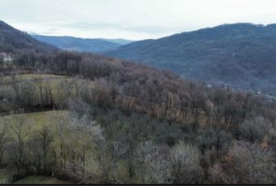 Spațiu comercial, în Central - 7