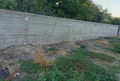 Casa cu gradina mare de inchiriat - 5