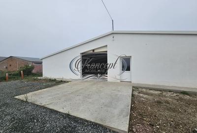 Hala la prima inchiriere, izolata termic, disponibila imediat in Jucu de Mijloc - 2
