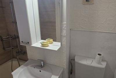 Apartament cu 2 camere decomandat în Liteni - 8