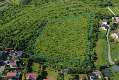 Teren Construcții intravilan de 17200 mp, în Livezeni - 3