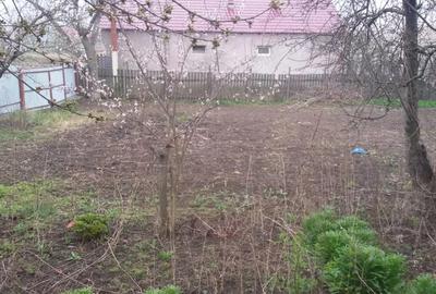 Casă cu 6 camere în Ghidigeni - 1