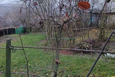 Vand casa Perieni - 1