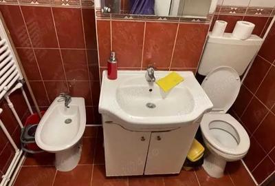 Apartament cu 2 camere decomandat, mobilat în Tătărași - 6