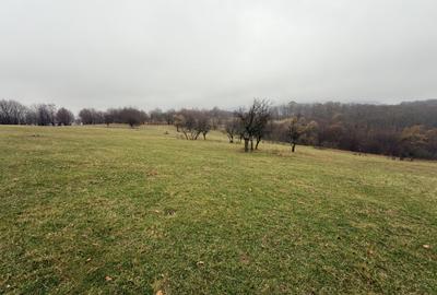 Teren spectaculos 3,5HA zona Cisnadioara - 6