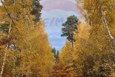 DE VANZARE Pensiune | 12 camere | Bisoca / Buzau - 24