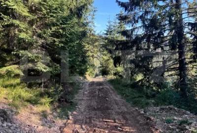 Teren în Vălișoara - 6