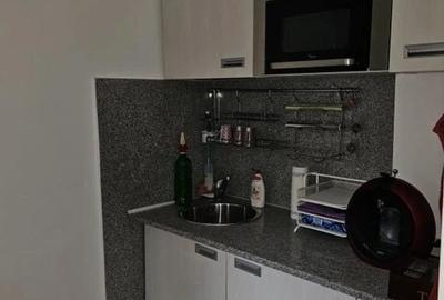 Garsoniera mobilata, Investitie,inchiriata 250 euro, Teiul Doamnei - 6