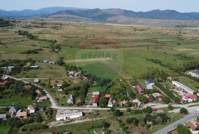 Teren Construcții intravilan de 10000 mp, în Călățele - 14