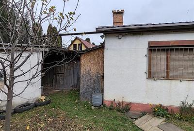 Casa , singur in curte la intrarea in ZIZIN - 12